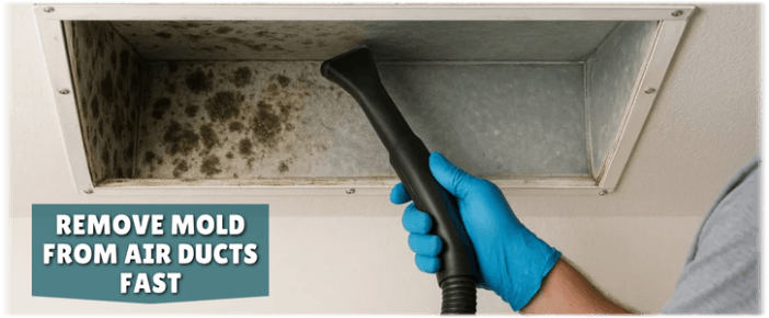 Air Duct Mold Removal in Hinsdale IL